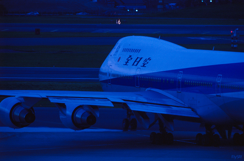 d0130493_139128.jpg