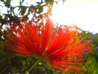 f0077595_1836368.jpg