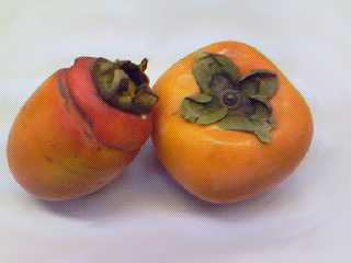 f0008597_13522825.jpg