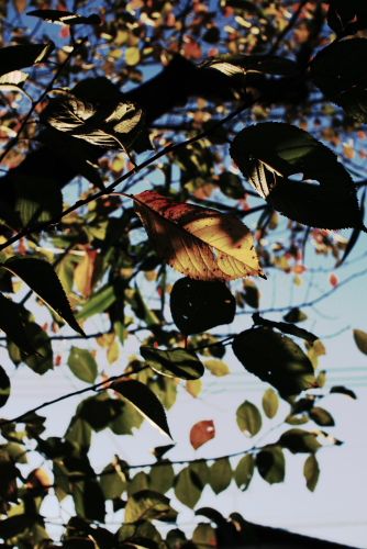 c0129498_18325633.jpg