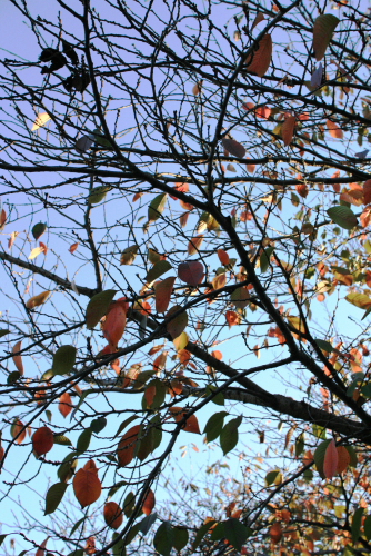 c0129498_1933382.jpg