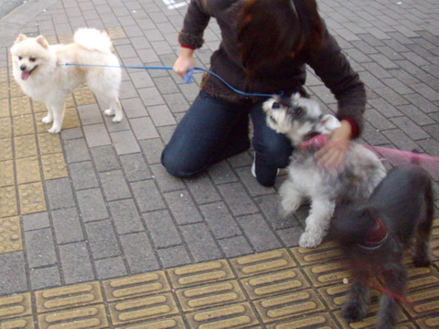 c0138198_1444109.jpg
