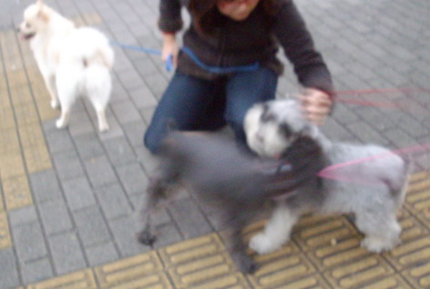 c0138198_14464858.jpg