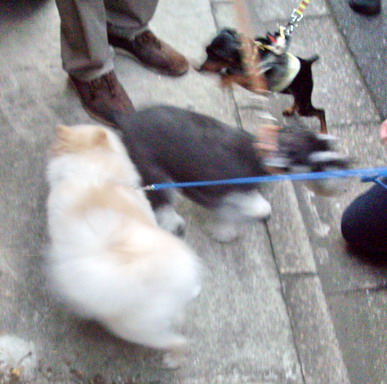 c0138198_1451282.jpg