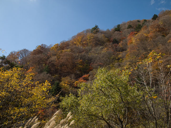 f0002801_1642770.jpg