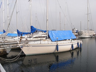 f0157901_12134972.jpg
