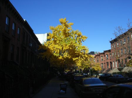 b0057103_0163073.jpg
