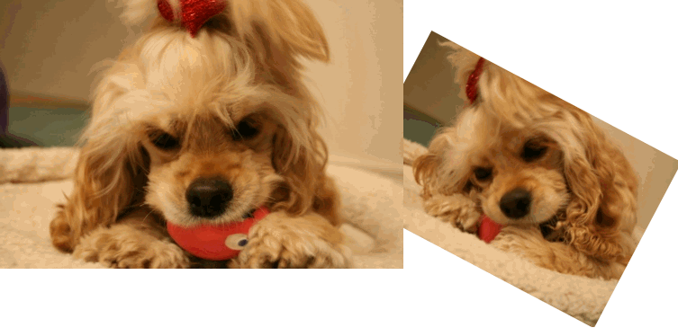 c0128303_2153447.gif
