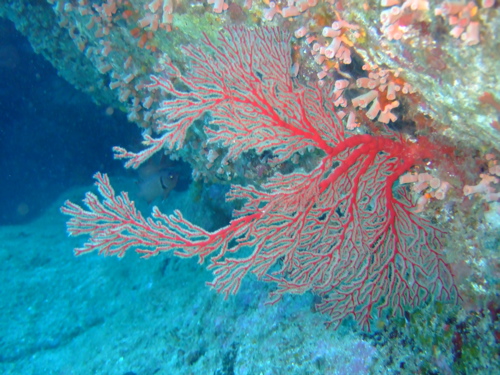 e0162304_2274675.jpg