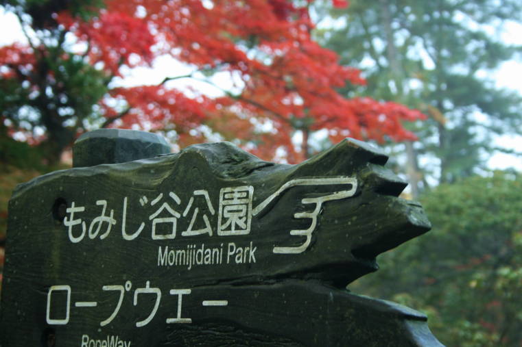 f0031304_1759427.jpg