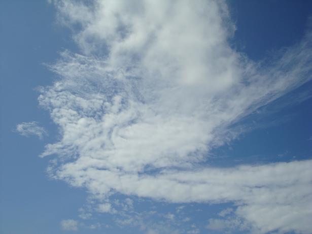 c0160014_18452830.jpg