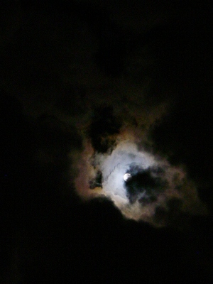 f0133814_915448.jpg