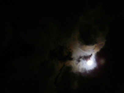 f0133814_946475.jpg