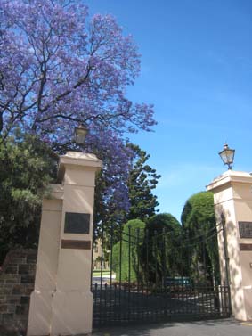 f0128516_20441937.jpg