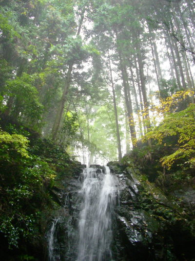 f0168317_22505578.jpg