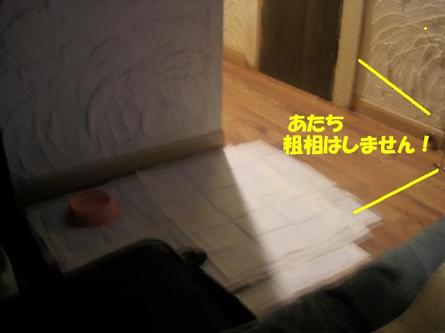 f0182121_15483431.jpg