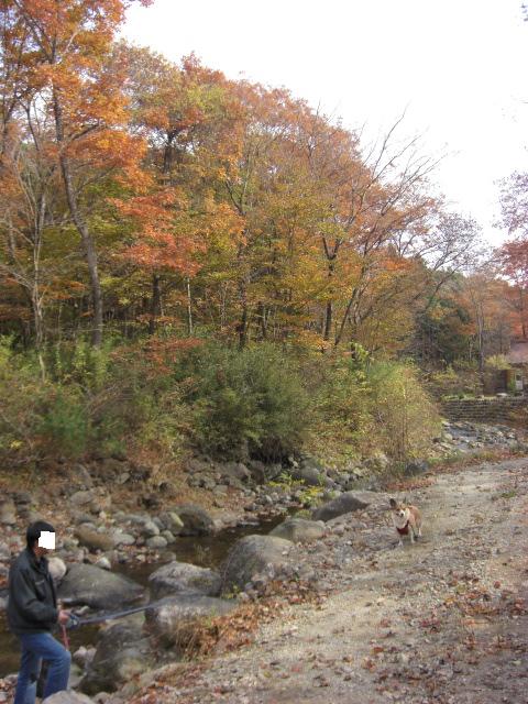 f0182121_16145617.jpg