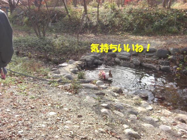 f0182121_16171094.jpg