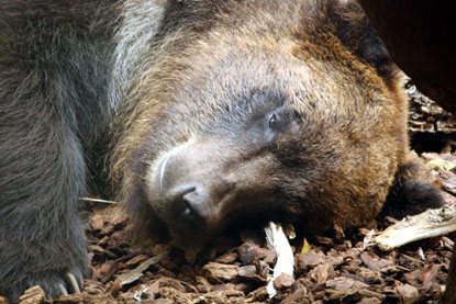 f0137324_12275529.jpg