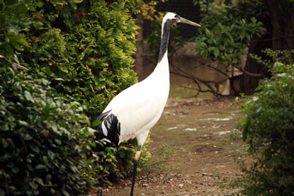 f0137324_1228496.jpg