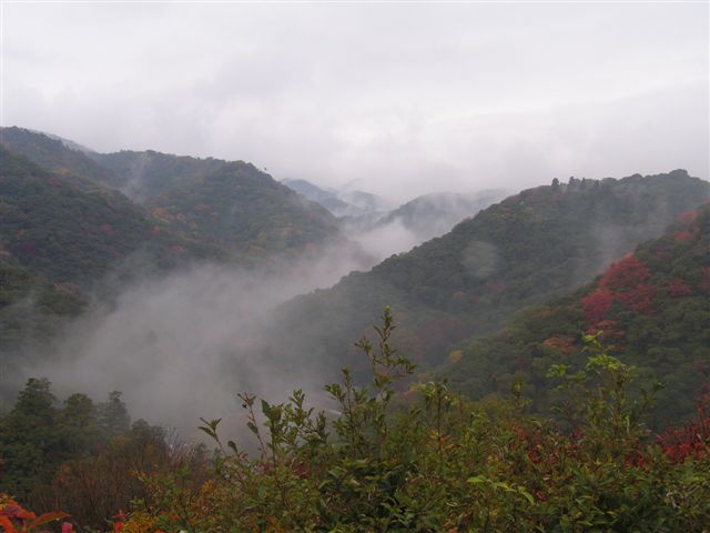 f0009128_2231781.jpg