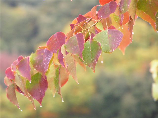 f0009128_22371926.jpg