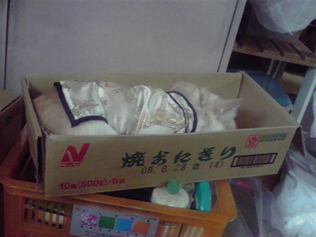 a0090729_012914.jpg