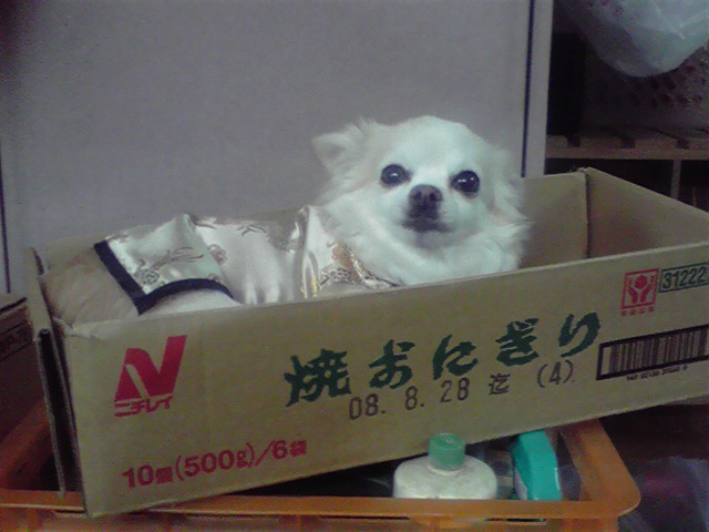 a0090729_012933.jpg