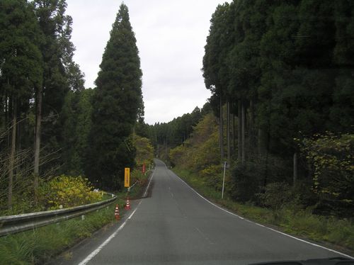 d0148729_0303161.jpg