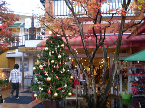d0046531_16504262.jpg