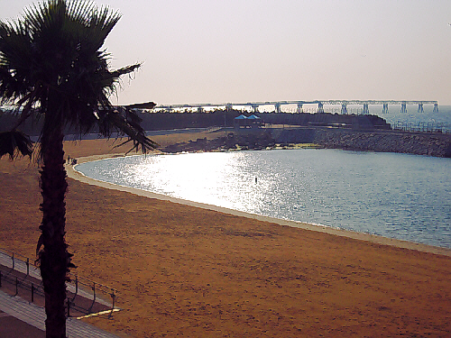 d0017632_21384558.jpg