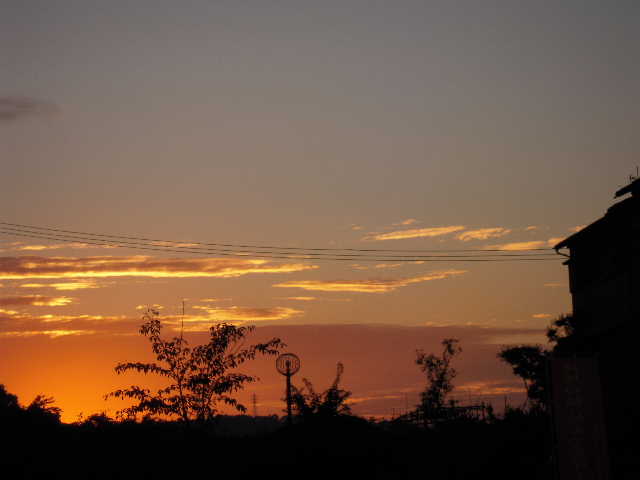 b0025633_1944224.jpg