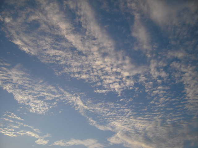 b0025633_19455158.jpg