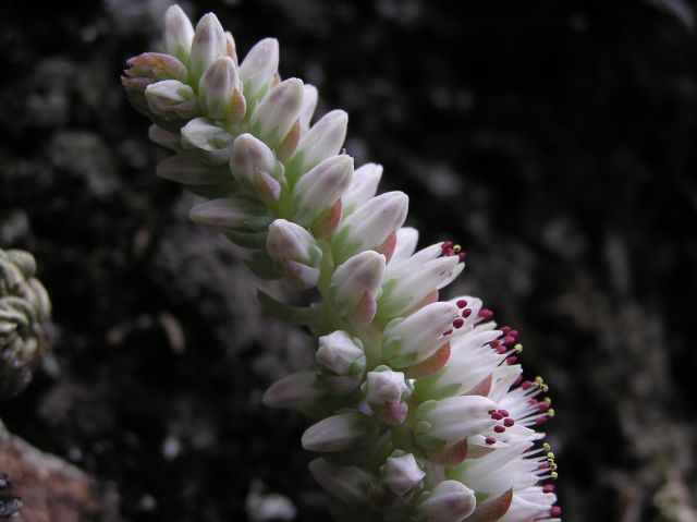 e0145033_19205974.jpg
