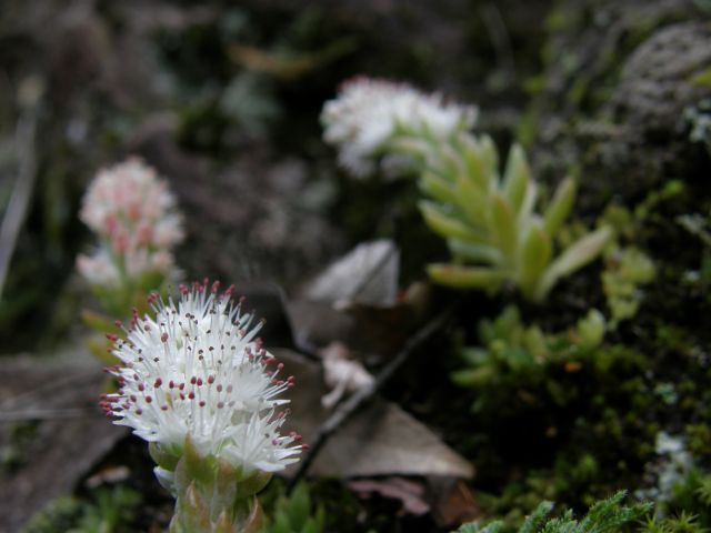 e0145033_19235420.jpg