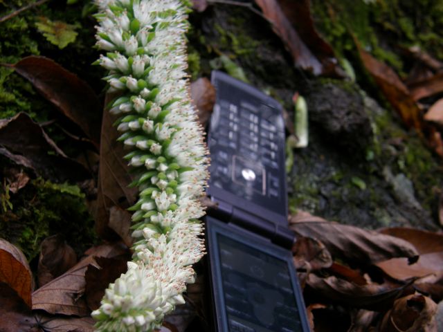 e0145033_19255015.jpg