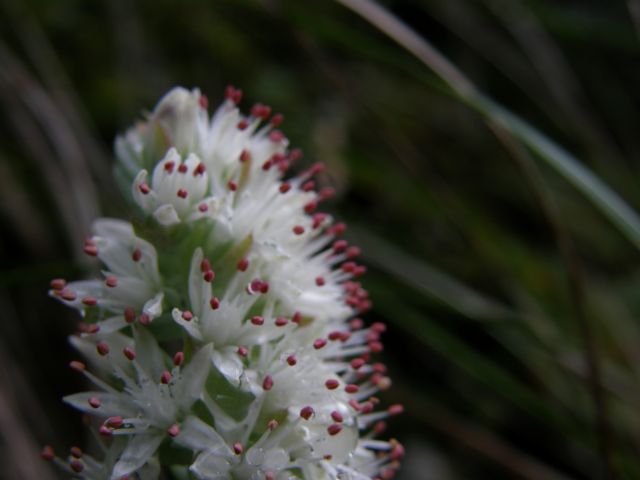 e0145033_1927572.jpg
