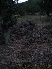 c0134734_1384363.jpg