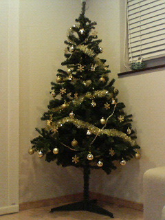 b0079436_11474020.jpg