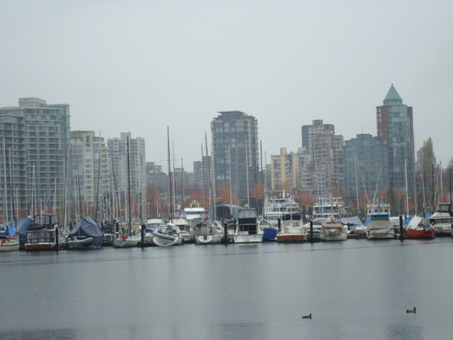 b0131436_1144681.jpg