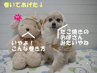 c0179136_21321021.jpg