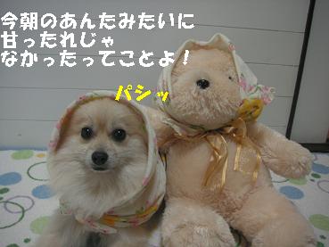 c0179136_21323520.jpg