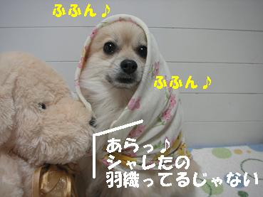 c0179136_2132430.jpg
