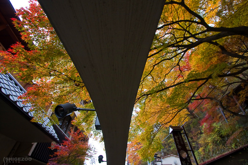 b0144437_0303767.jpg