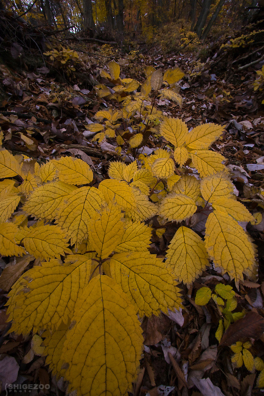 b0144437_0305758.jpg