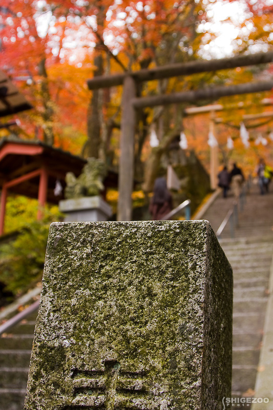 b0144437_032014.jpg