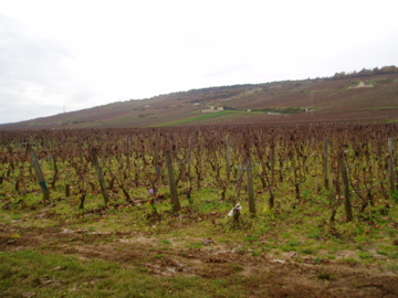b0032039_0473921.jpg
