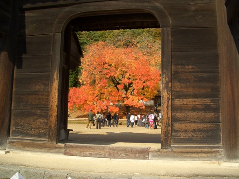 b0057140_16554748.jpg
