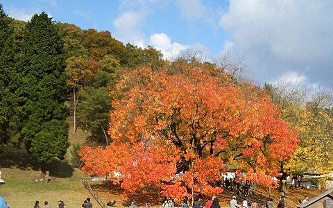 b0057140_1656232.jpg