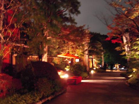 c0156345_3525117.jpg